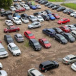 Петербуржцы требуют включить парковку чиновников в список зелёных насаждений