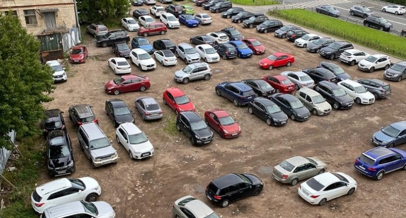 Петербуржцы требуют включить парковку чиновников в список зелёных насаждений