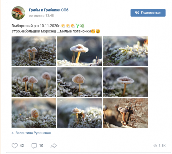 Петербуржцы делятся фотографиями первых морозов